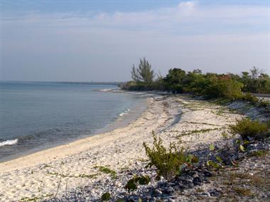 2004 Cuba, Maria la Gorda - Cayo Levisa, DSC00585 B_B720